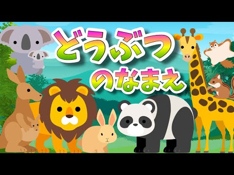 視覚に表れる動物の数値感覚