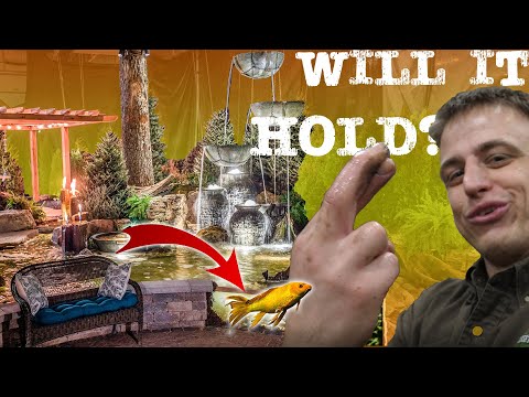 Rushing to the FINISH LINE! - Aquascape Sandbox Studio 🐠🚧