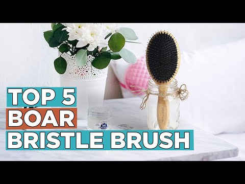 Top 5 Best Boar Bristle Brush