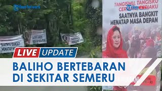 Viral Video Baliho Puan Maharani Bertebaran di Lokasi Bencana Semeru, PDI-P: Itu Bukan dari Partai
