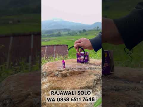 HAPPY POWER 3 / TOP HP03 / 1 BOX 20 PCS