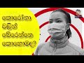 Corona Virus Sinhala Corona Virus Srilanka