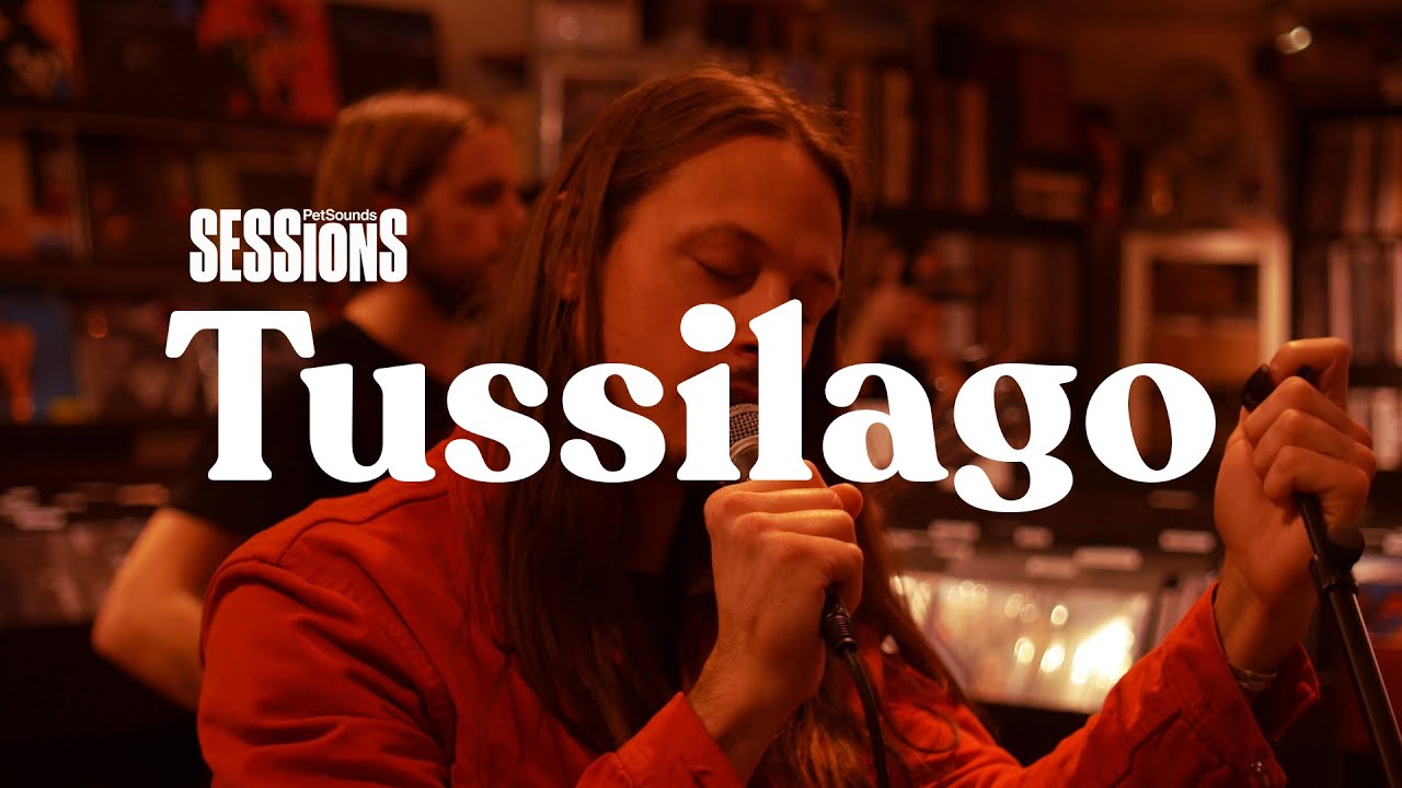 Say Hello – Tussilago