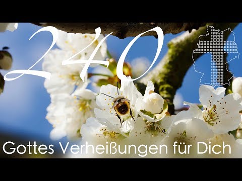 Gottes Verheißungen für Dich - Lukas 12,24 | Videokalender 240/365 - Deutschland braucht JESUS