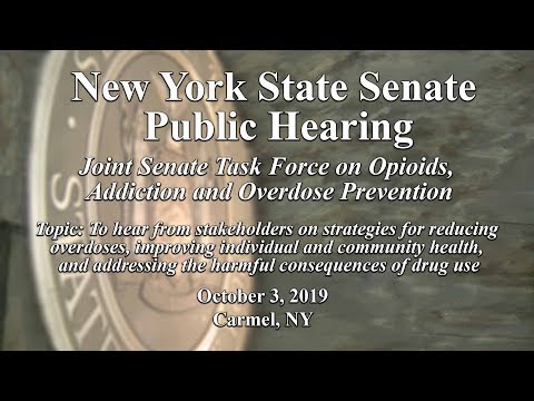 Joint Senate Task Force on Opioids, Addiction and Overdose Prevention Public Hearing - 10/03/19