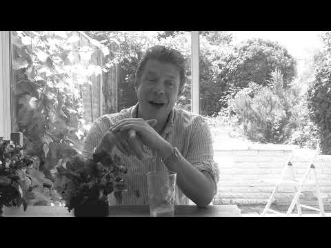 Dido Producer, and Ed Sheehan collaborator  Si Hulbert