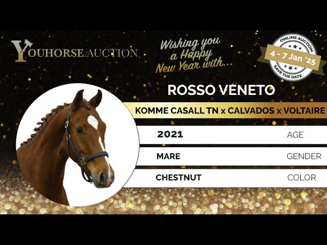 Rosso Veneto first jumps under the saddle