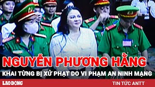 Nguyễn Phương Hằng cười nhiều lần trong phiên tòa, khai từng bị xử phạt do vi phạm an ninh mạng |BLĐ
