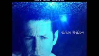 Brian Wilson - Hotter