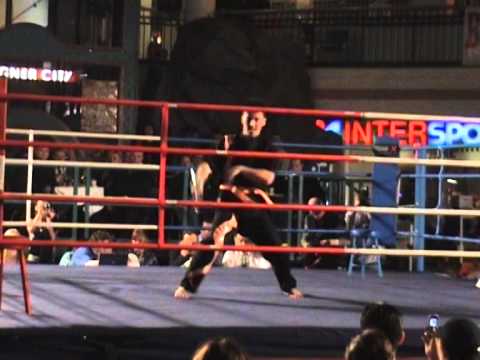 Gala Wien 2006 Roman Volak 1