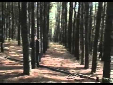 Sparklehorse feat. Nina Persson - Gold Day (Official Video)