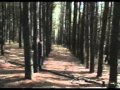 Sparklehorse feat. Nina Persson - Gold Day ...