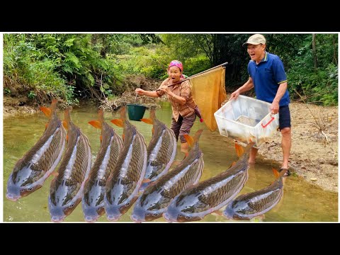 Fishing technique: Ly Thi Lien and Uncle Vinh happily harvested a large catch of fish.