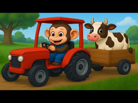 Injured Cow Incident, Monkey Farmer Transports Cow With Tractor - Farm Work | Cobby Farm