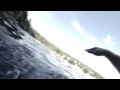 GoPro: Man Fights Off Great White Shark In Sydney Harbour