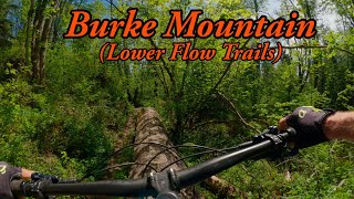 Best intermediate mountain bike trails in Coquitlam, BC - Burke Mountain Lower Trails