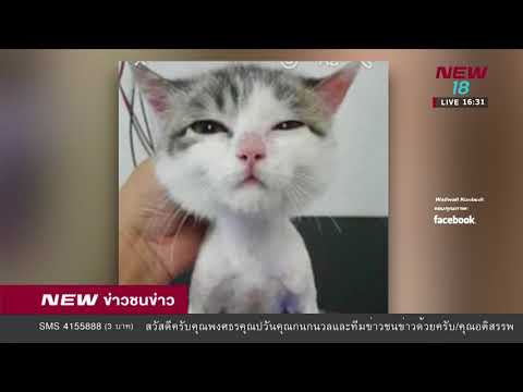 ยาโรคสะเก็ดเงิน โรคสะเก็ดเงินโฟกัสมัน