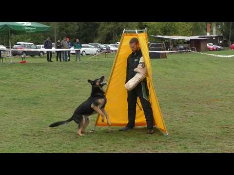 MM MSKS Zbraslav 2019 - Miroslav Vávra - Saro Eqidius - obrana/defense