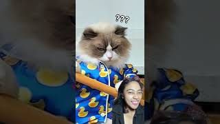 Download lagu Don't take the jelly‼️ mp3 Download lagu Don't take the jelly‼️ mp3