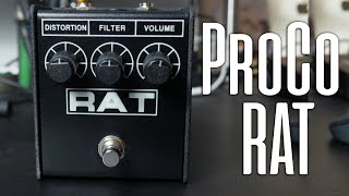 ProCo RAT | Fran Canales | Review