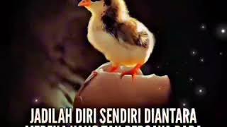 Download lagu Story WA / DJ Temanku Jahat Tante mp3