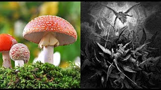 Psychedelics, Drugs, &amp; The Bible: Fallen Angel Sorcery