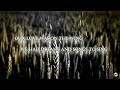 The Dubliners - The Fields Of Athenry [Lyrics]