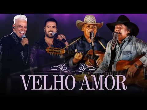 Divino & Donizete ft. ⁨@MatogrossoeMathiasOficial⁩ - Velhor Amor [Lyric Video]