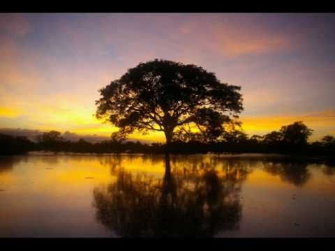 Inna ft Bob Taylor    deja vu HQ