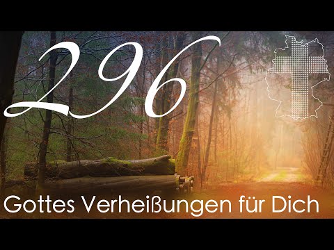 Gottes Verheißungen für Dich - Psalm 5,12 | Videokalender 296/365 - Deutschland braucht JESUS
