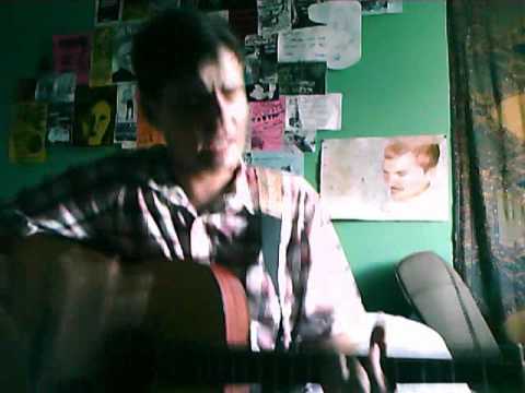 Some Idiot Covers all of the Shorebirds 7 Inch