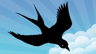 Download lagu Suara Walet Original Bersih Plus Jernih mp3