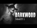 Darkwood PS5 Edition - Night 1
