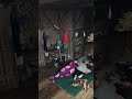Tengah Malam Jum At Kliwon Saat Tidur Nyenyak Di Dapur Kampung