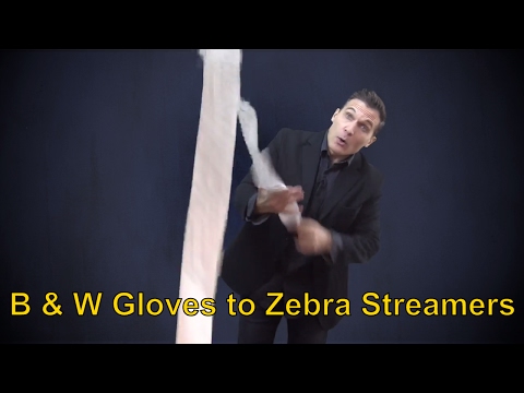 Black and White Gloves to Zebra Streamer 2.0