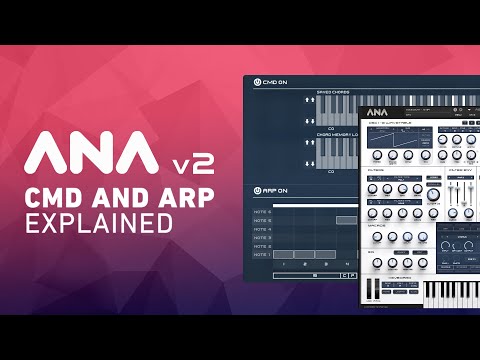 ANA 2 - CMD and Arp Explained!