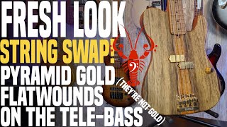 Video thumbnail for Pyramid Gold Flatwounds on my Warmoth Tele Bass!.... They're not gold. - LowEndLobster Fresh Look by LowEndLobster