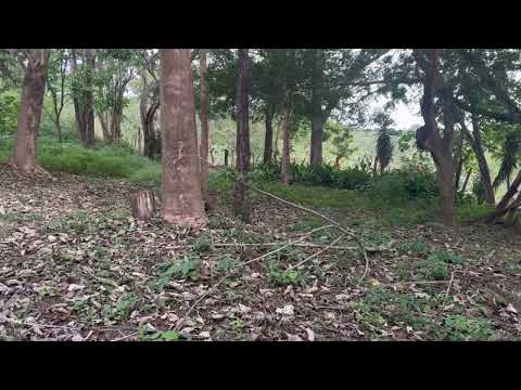 Imagen de Venta de Lotes y Terrenos en Curubandé - Liberia Curubandé - GUANACASTE