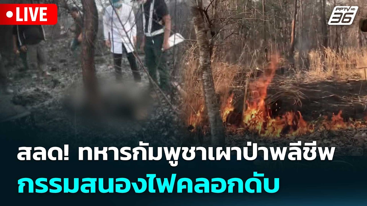 🔴 Live เข้มข่าวค่ำ | สลด! ทหารกัมพูชาเผาป่าพลีชีพ กรรม?