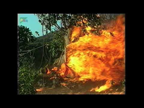 Mahabharata songs 131