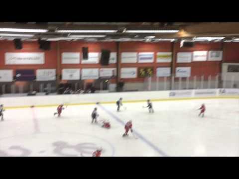 LVHC team 04 - Göta Traneberg 17 januari 2015