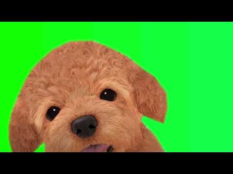 Nintendog Assist Trophy Super Smash Bros Ultimate Green Screen
