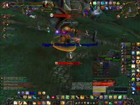 Azgalor of Mt Hyjal Sobre Protection Paladin Healing