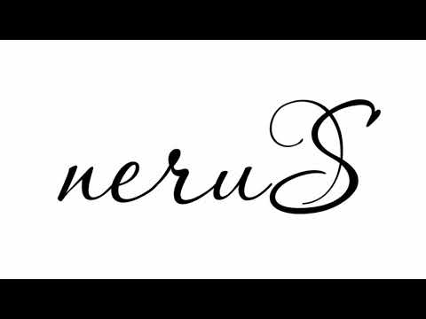 neruS - Давай Улетим (Audio)