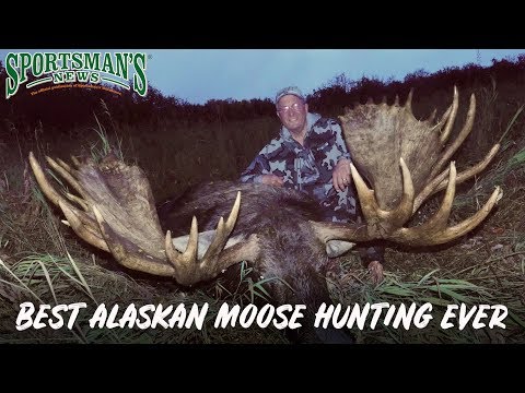 download lagu mp3 mp4 Moose Hunting Alaska, download lagu Moose Hunting Alaska gratis, unduh video klip Moose Hunting Alaska