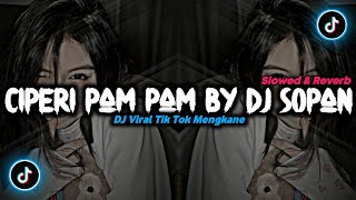 Download lagu DJ Ciperi Pam Pam By Dj Sopan - ( Slowed & Reverb ) 🎶 mp3