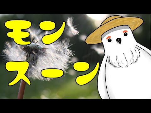 モンスーンについて詳しく解説