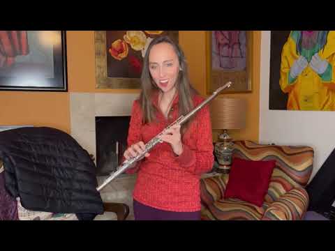 Wm. S. Haynes Solid Silver Handmade “golden era” Flute