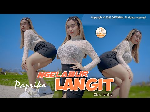 Dj Ngelabur Langit - Paprica (Official Music Video)