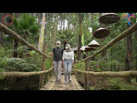 Kampanye Sadar Wisata